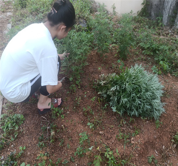 1594281041103323.jpg 7.jpg