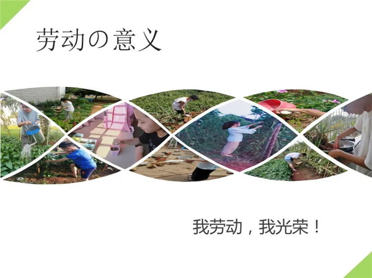 1595926116238912.jpg 2.webp.jpg