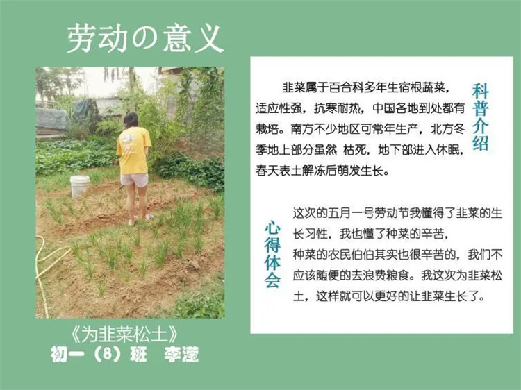 1595926146515047.jpg 3.webp.jpg