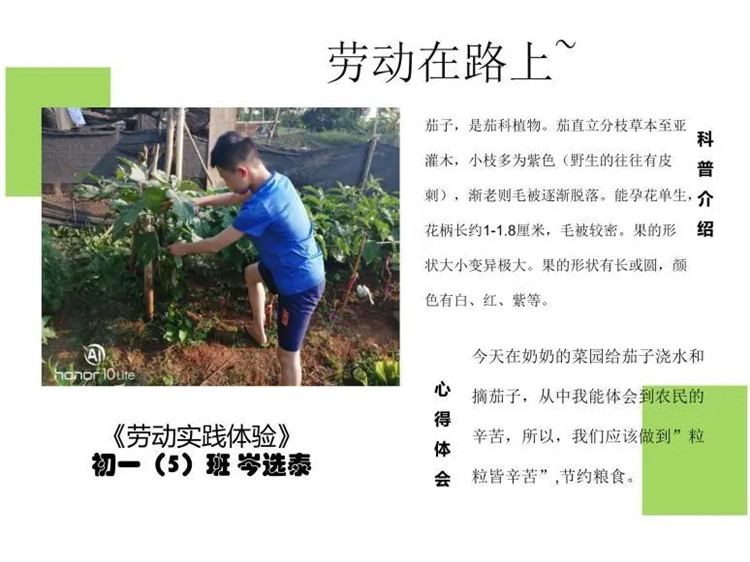 1595926162297822.jpg 4.webp.jpg