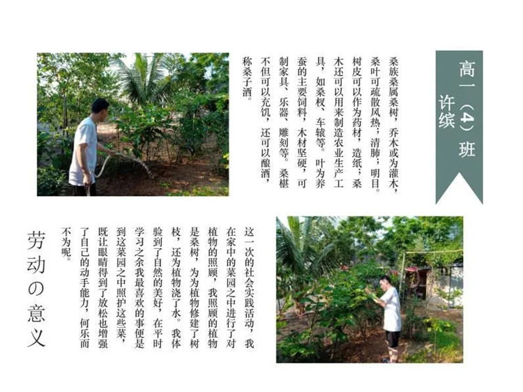 1595926221378206.jpg 5.webp.jpg