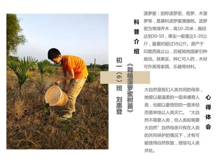 1595926227743417.jpg 6.webp.jpg