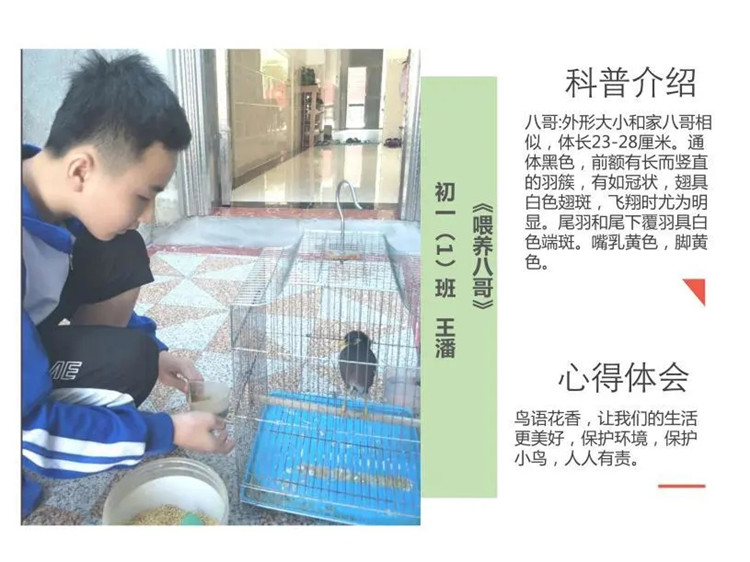 1595926248726978.jpg 7.webp.jpg