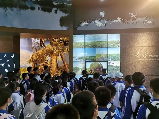 1606721739330570.jpg 1606721739330570.jpg