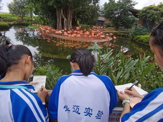 1606721761690358.jpg 1606721761690358.jpg