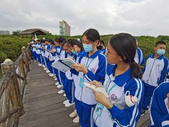 1606721845323297.jpg 1606721845323297.jpg