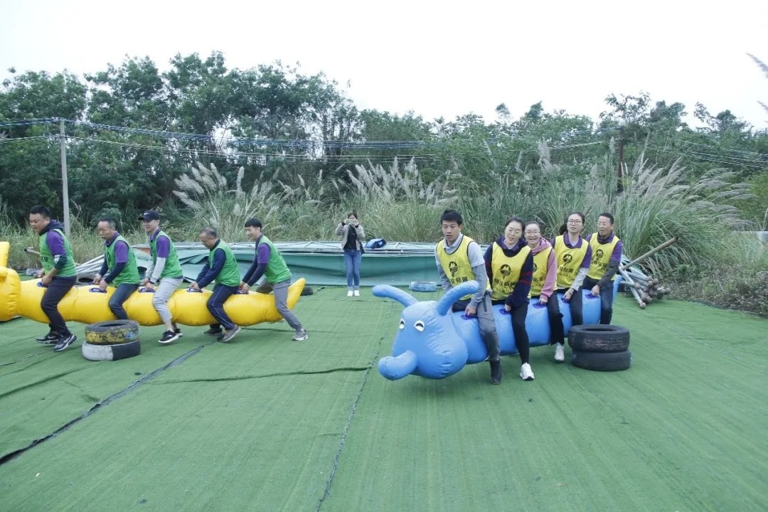 1610588472101662.jpg 1610588472101662.jpg