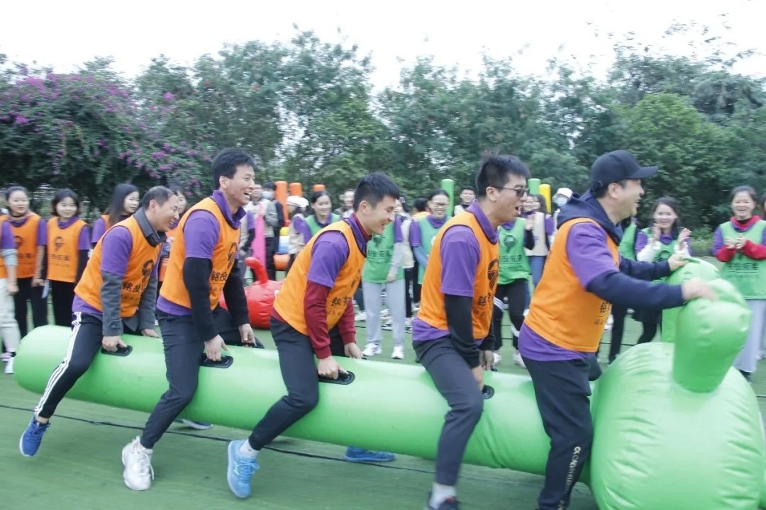 1610588472919330.jpg 1610588472919330.jpg