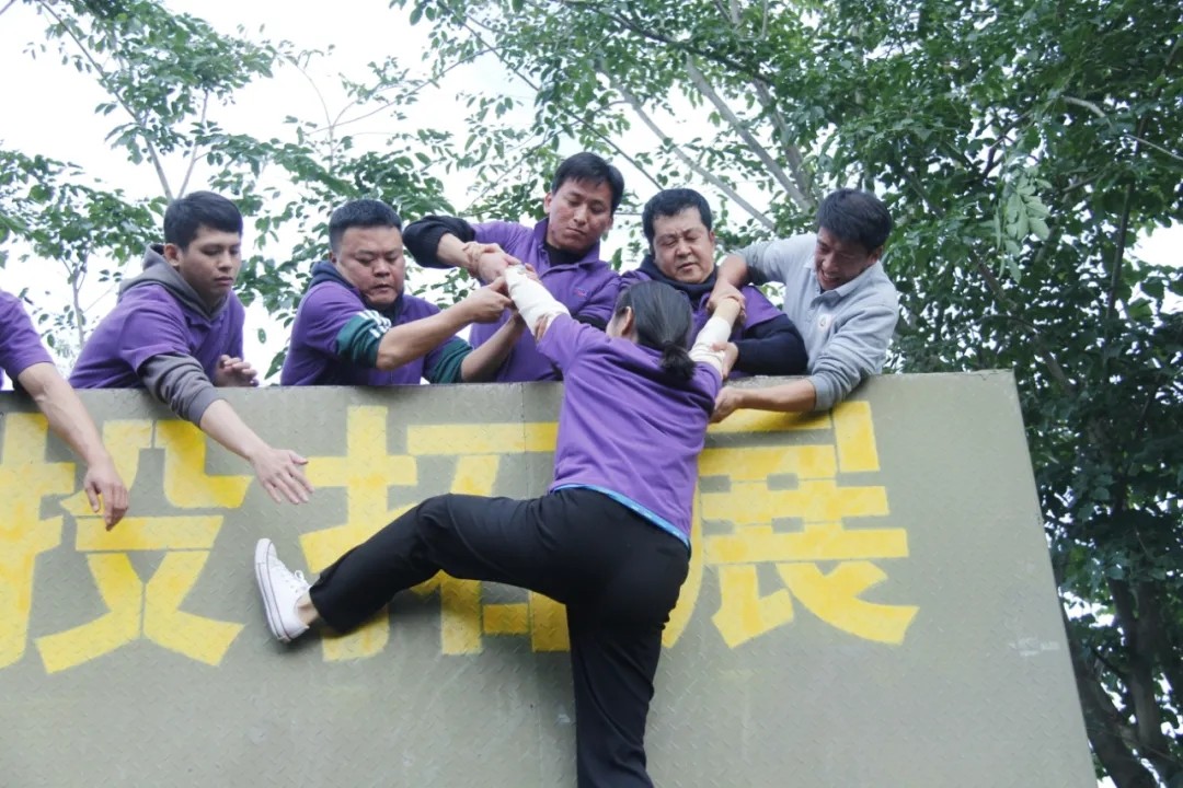 1610588659737822.jpg 1610588659737822.jpg