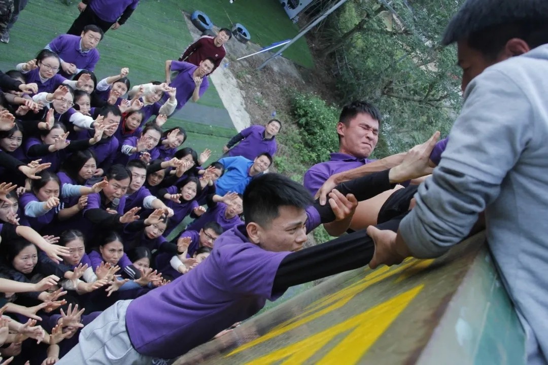 1610588730420979.jpg 1610588730420979.jpg