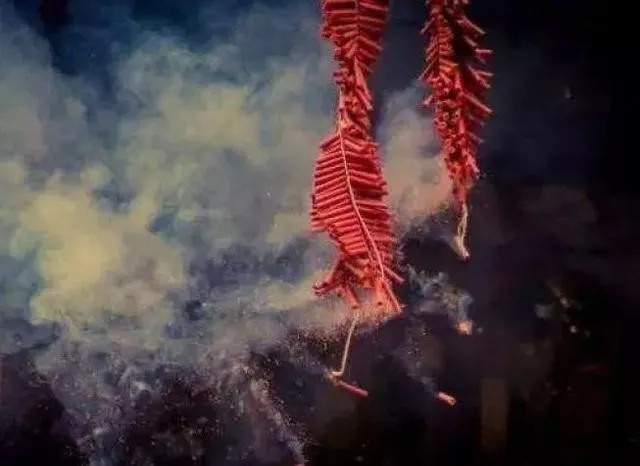 1614742258270583.jpg 7.webp.jpg